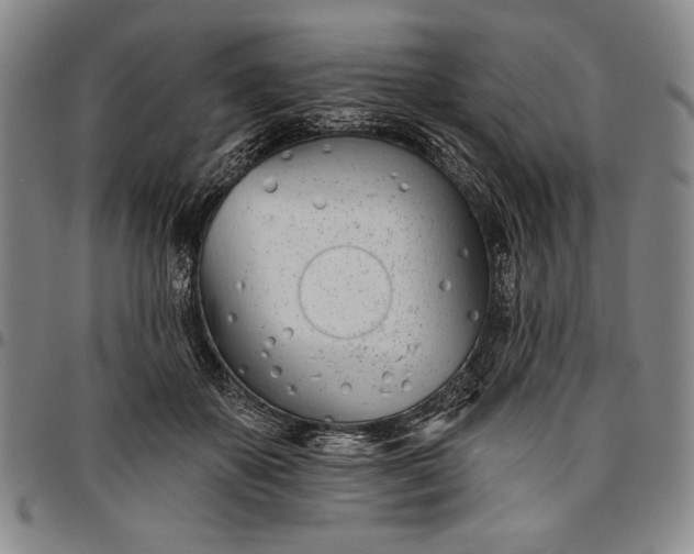 X0000096630507200802191159