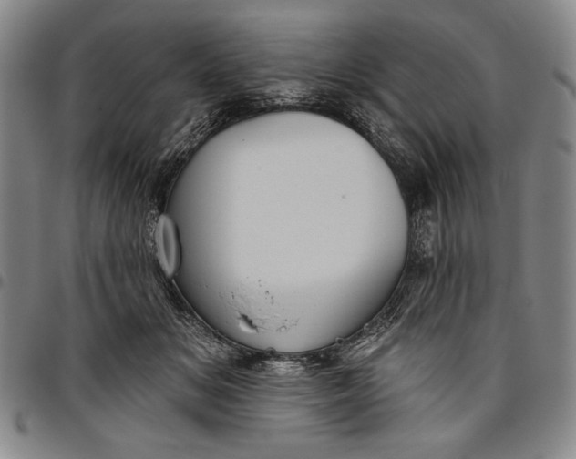 X0000096630509200802191159