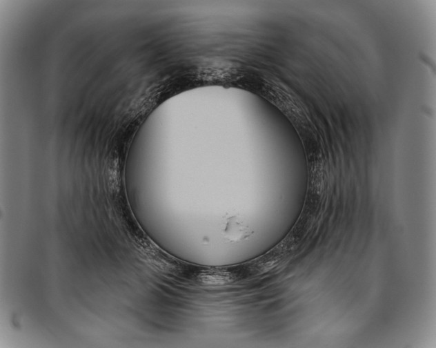 X0000096630510200802191159