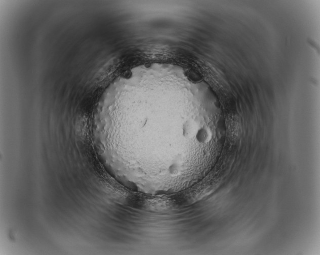 X0000096630511200802191159