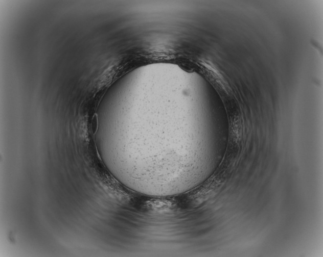 X0000096630512200802191159