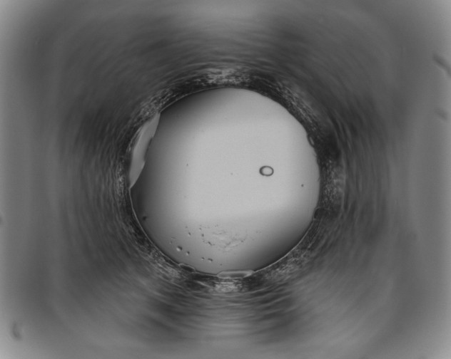 X0000096630513200802191159