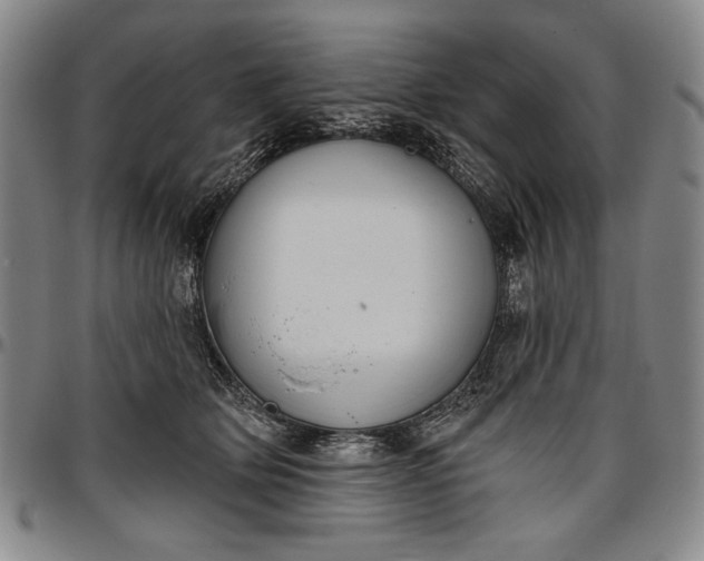 X0000096630514200802191159
