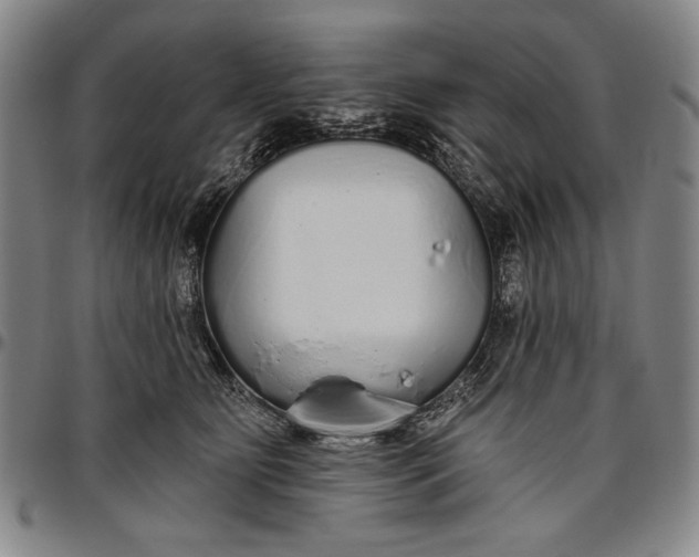 X0000096630515200802191159