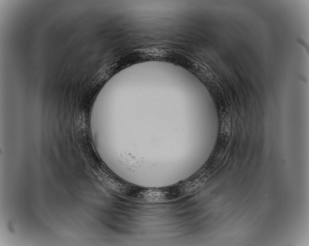 X0000096630518200802191159