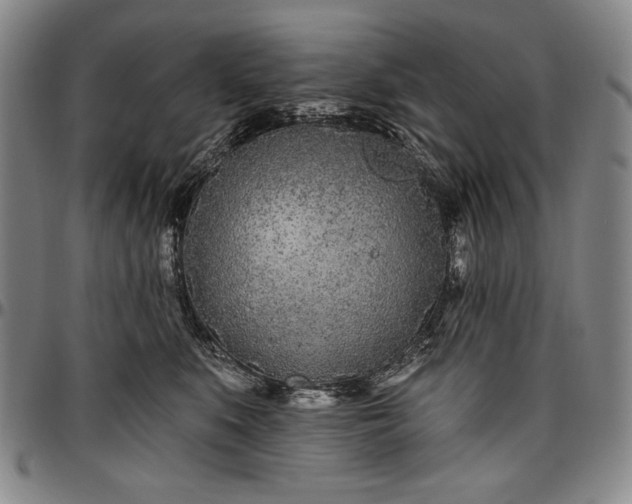 X0000096630519200802191159