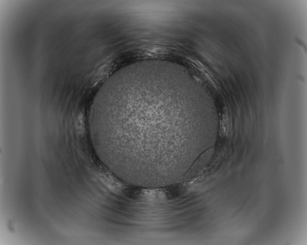 X0000096630520200802191159