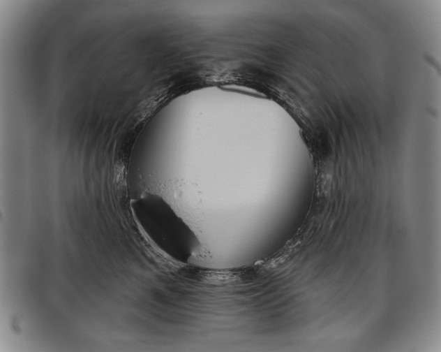 X0000096630521200802191159