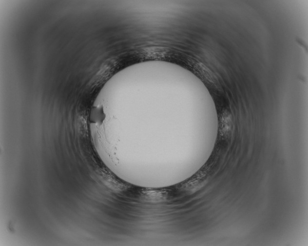X0000096630522200802191159