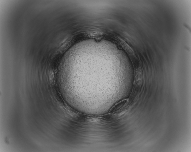X0000096630523200802191159