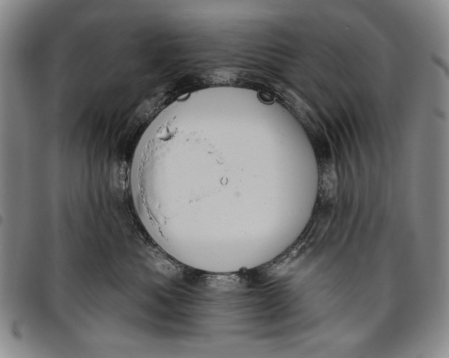 X0000096630525200802191159