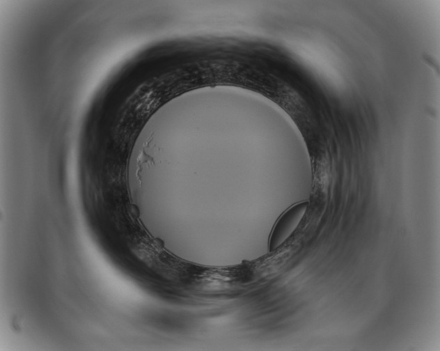X0000096630526200802191159