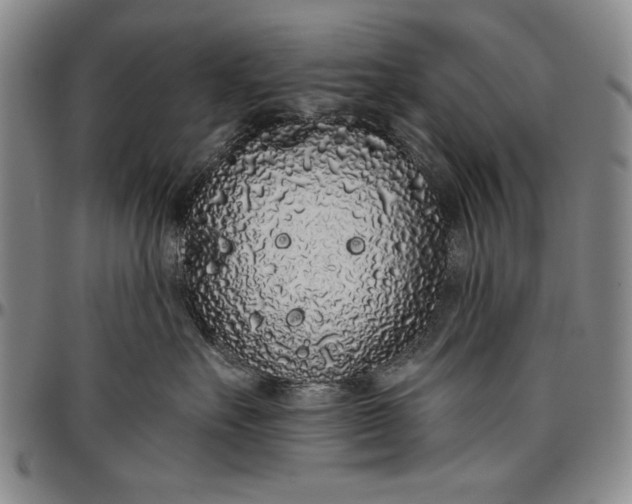 X0000096630527200802191159