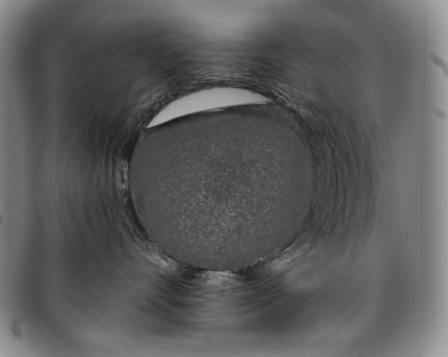 X0000096630528200802191159