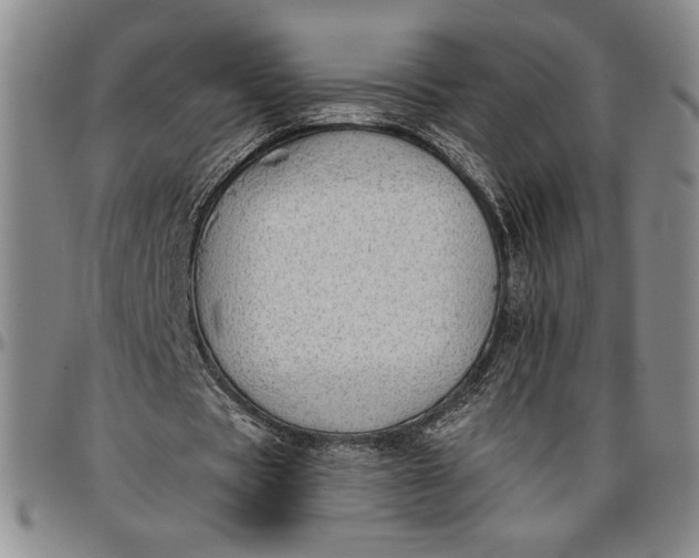 X0000096630529200802191158