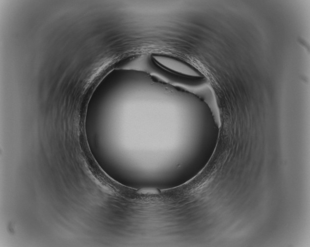 X0000096630530200802191158