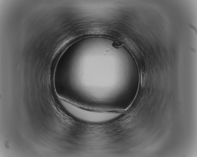 X0000096630531200802191158
