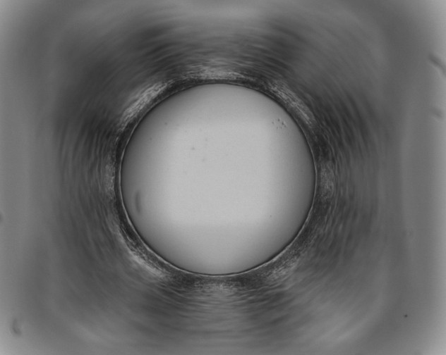 X0000096630533200802191158