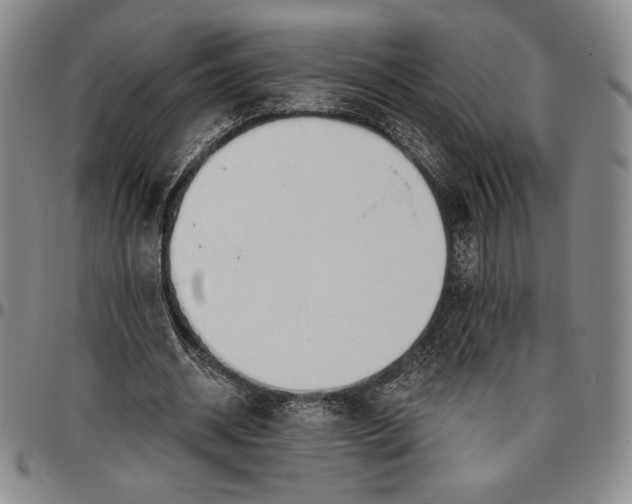 X0000096630534200802191158