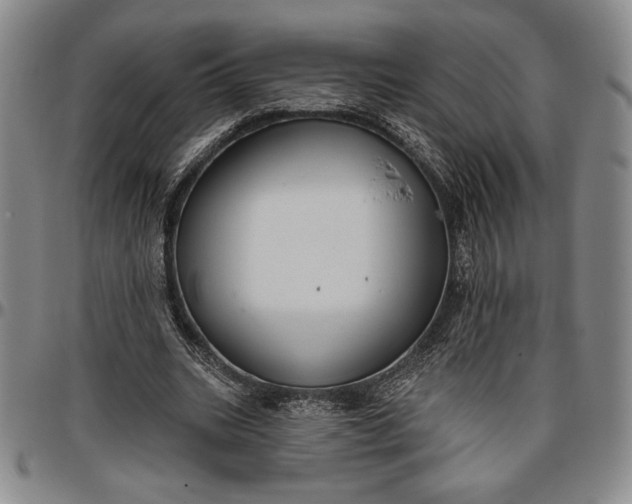 X0000096630535200802191158