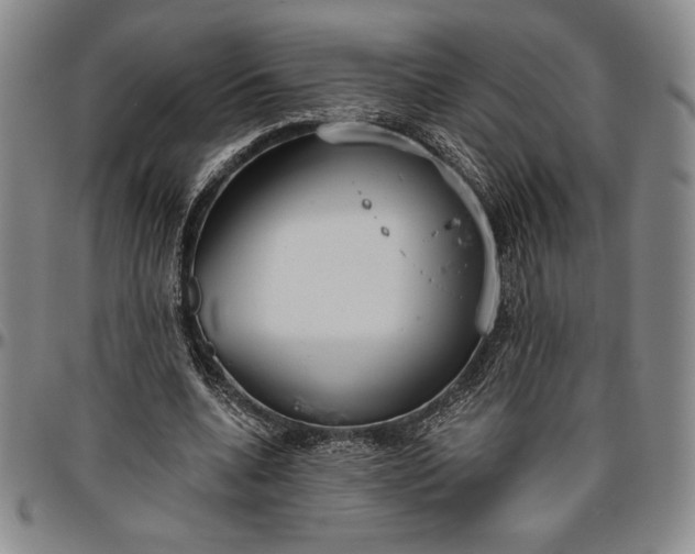 X0000096630536200802191158