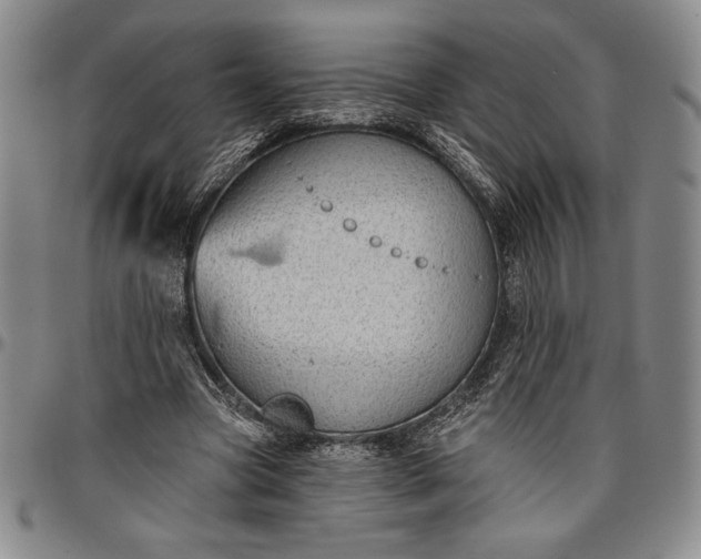 X0000096630537200802191158