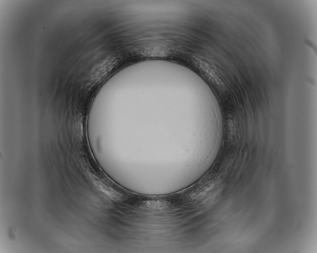 X0000096630541200802191158