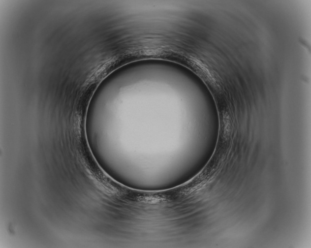 X0000096630542200802191158
