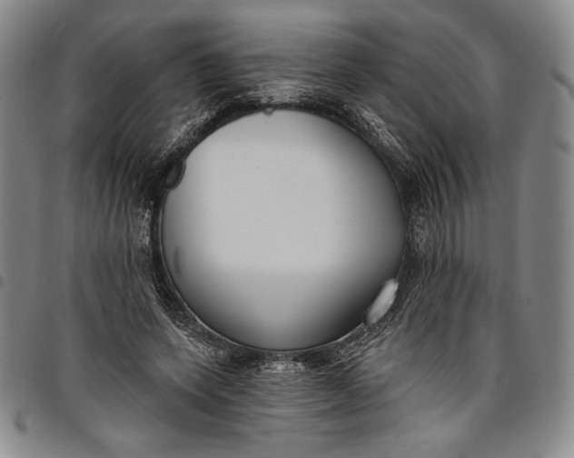 X0000096630543200802191158