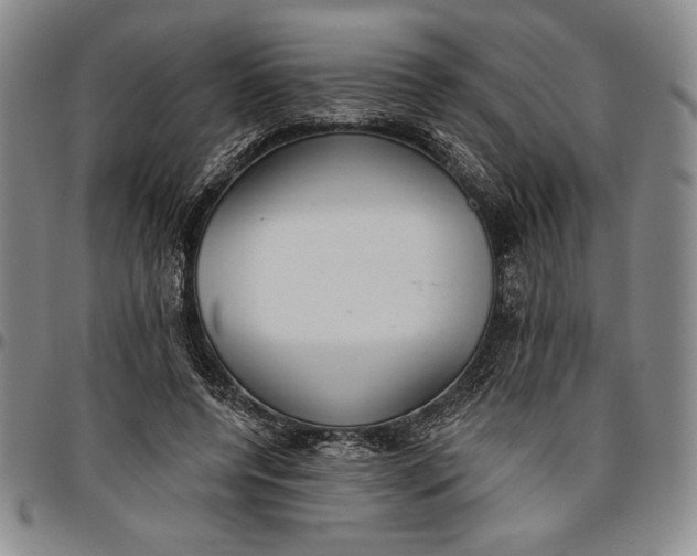 X0000096630544200802191158