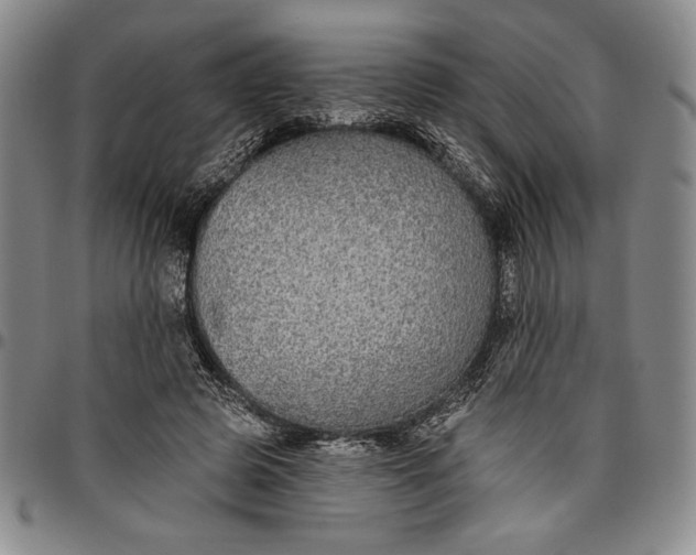 X0000096630545200802191159