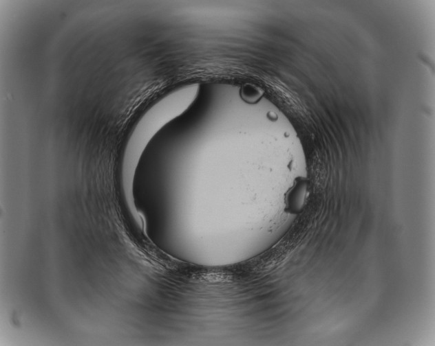 X0000096630546200802191159
