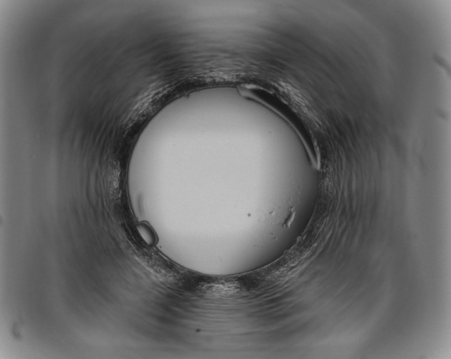 X0000096630548200802191159