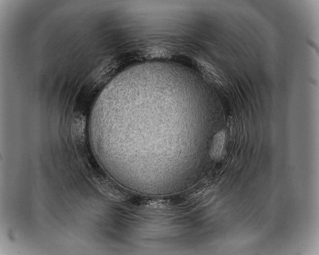 X0000096630550200802191159