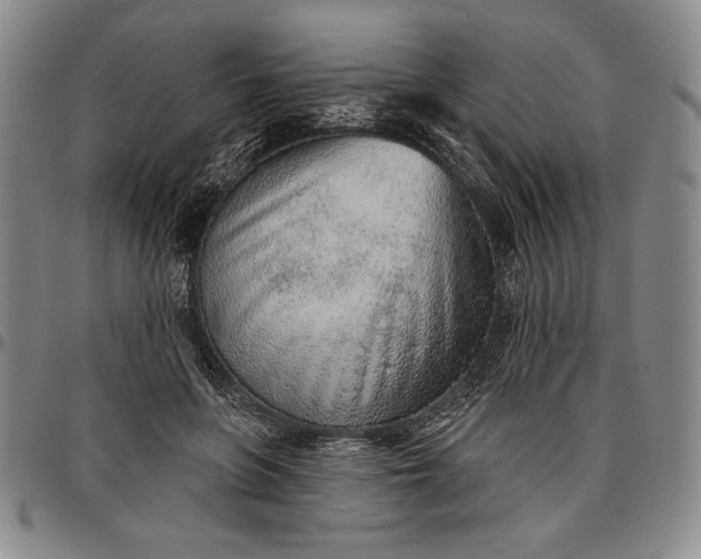 X0000096630551200802191159