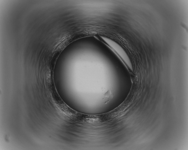 X0000096630552200802191159