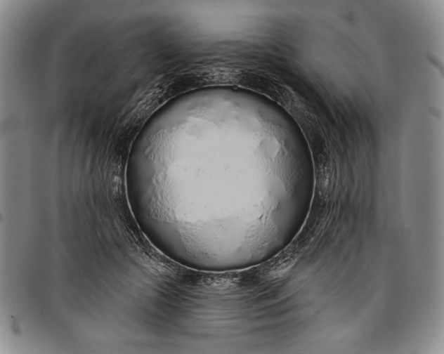X0000096630553200802191159
