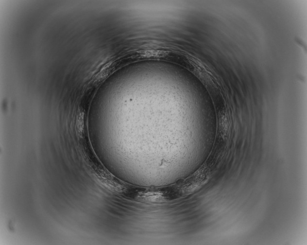 X0000096630554200802191159