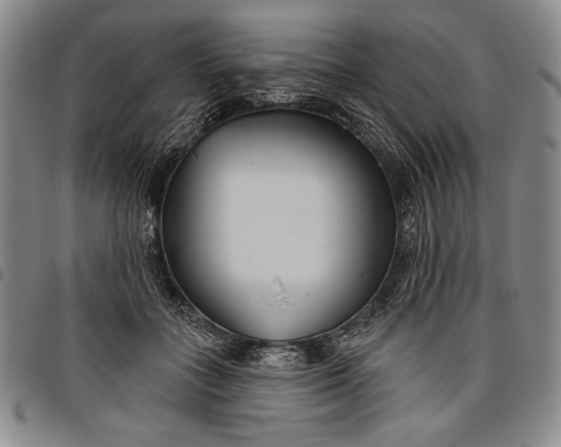 X0000096630555200802191159