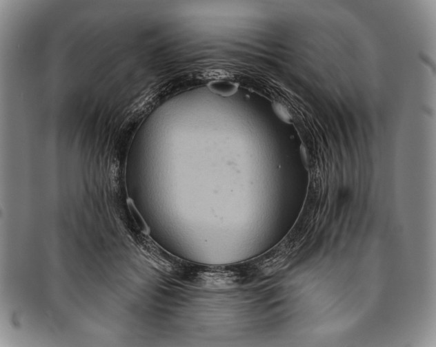 X0000096630556200802191159