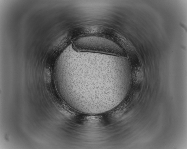 X0000096630558200802191159