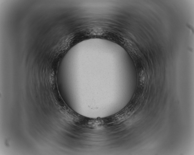 X0000096630559200802191159