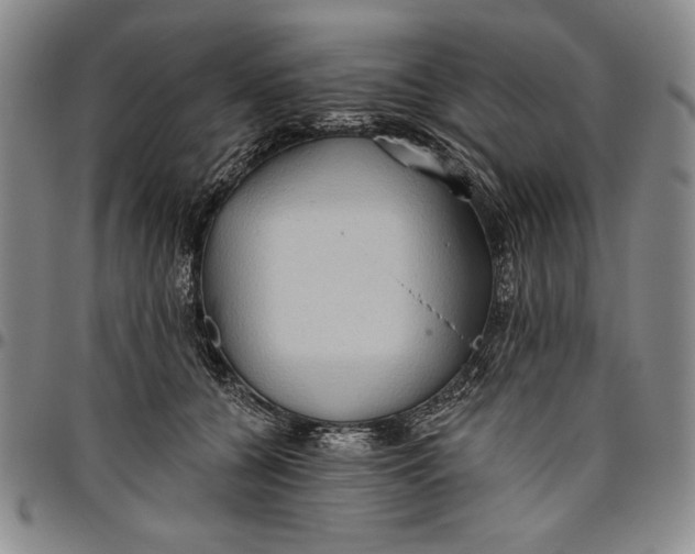 X0000096630560200802191159