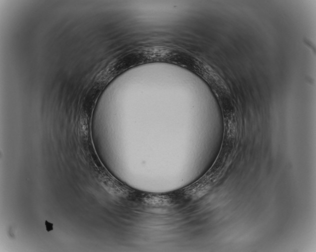 X0000096630561200802191159