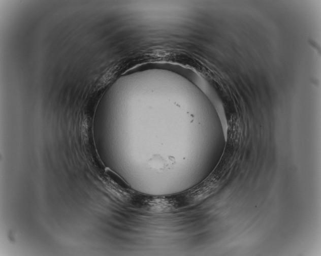 X0000096630562200802191159