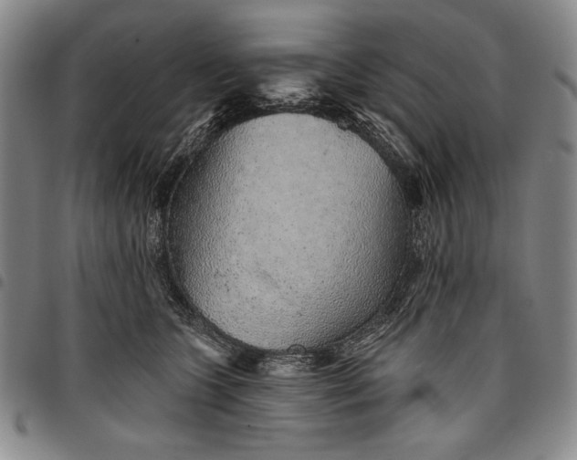 X0000096630563200802191159