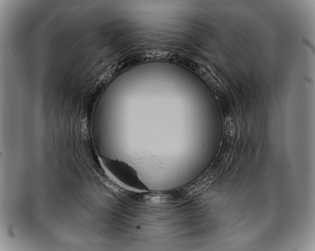 X0000096630564200802191159