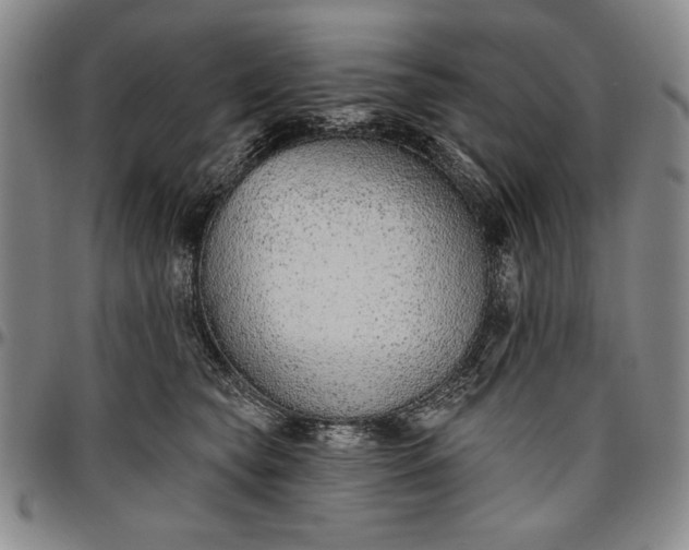 X0000096630565200802191159