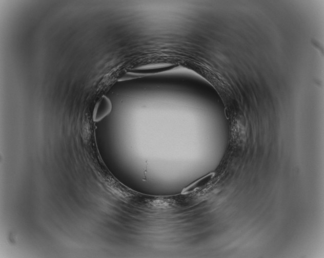 X0000096630566200802191159