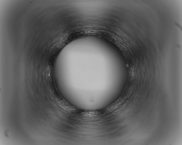 X0000096630567200802191159